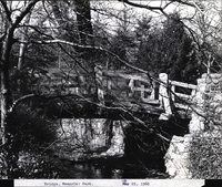Photo only available in the library